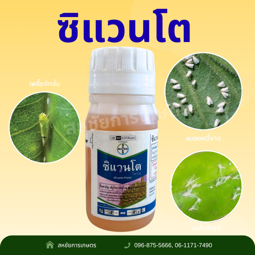 ซิแวนโต ขนาด 250 cc สารป้องกันกำจัดแมลงศัตรูพืช ฟลูไพราดิฟูโรน 20% W/V กำจัดแมลงปากดูดและแมลงหวี่ขาว