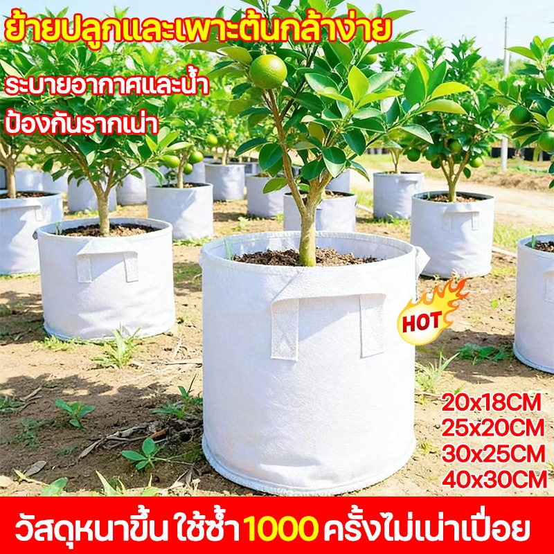 🌱อัตรารอดชีวิตปลูกถ่าย100%🌱ถุงเพาะปลูก ถุงเพาะปลูกผัก ถุงปลูก น้ำซึมผ่านได้ ระบายอากาศ รากไม่เน่า 100% แข็งแรงทนทาน
