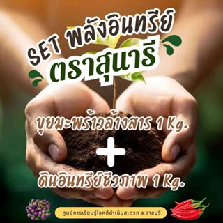 Set พลังอินทรีย์ = ขุยมะพร้าว 1 กก. ดินอินทรีย์ 1 กก.(รวม 2 …