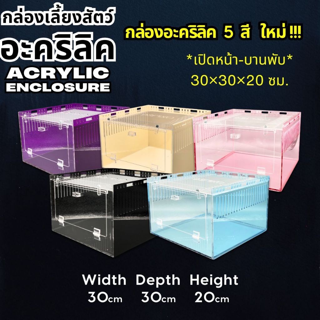 [ส่งด่วน] Acrylic Box กล่องอะคริลิค5สี *เปิดหน้า*ขนาด 30x30x20cm ใส่งู ตุ๊กแก รูระบาย3mm มีขาวางซ้อน