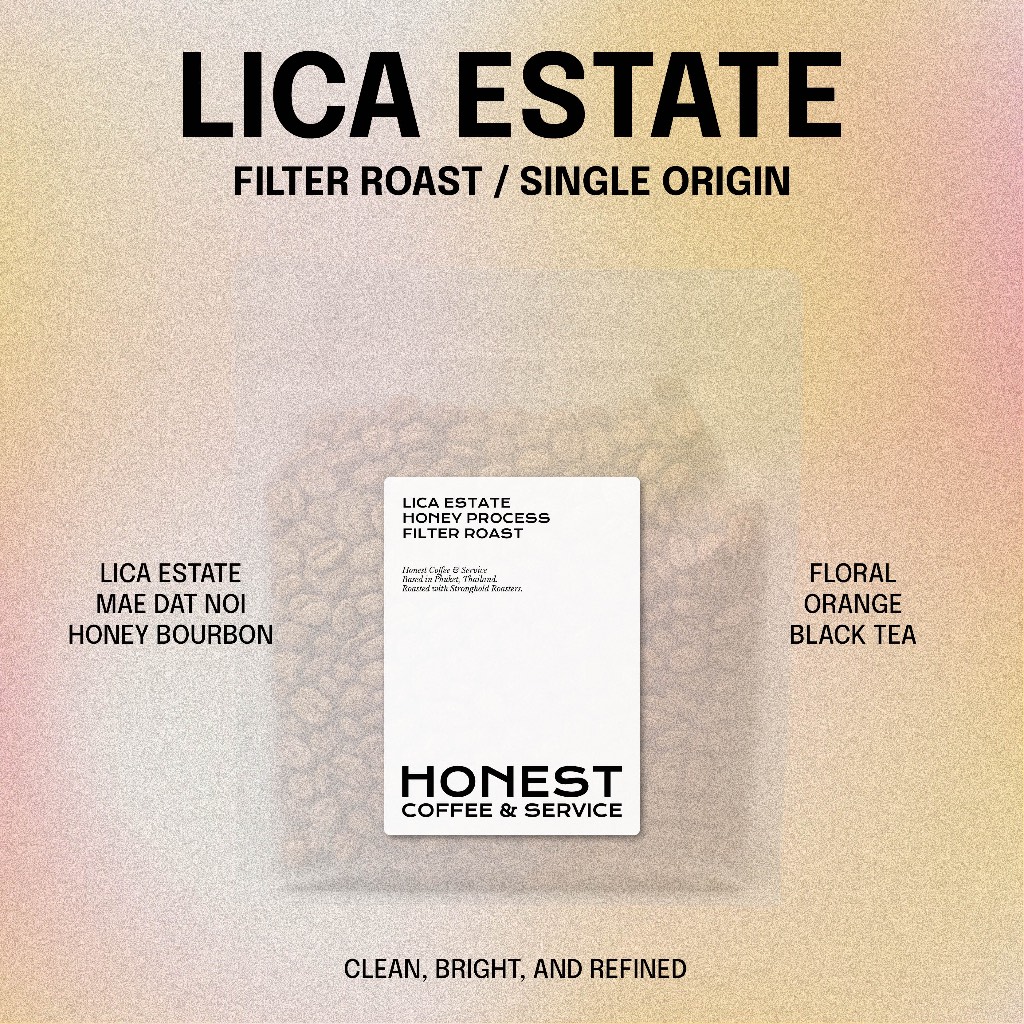 Lica Estate Mae Dat Noi Chiang Mai Honey เมล็ดกาแฟคั่วอ่อน | Light Filter Roast Coffee | Floral Oran