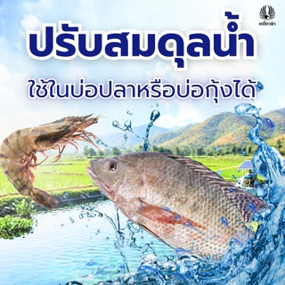 โดโลไมท์ผง 1ถุง ขนาด 2 กก. สารปรับสภาพดิน สารปรับสภาพดน้ำ ปรับ pH ดินและน้ำ บำรุงราก ตราเหยี่ยวดำ