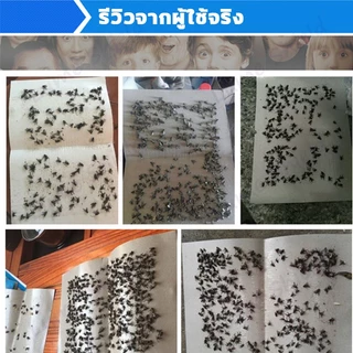 🔥💥กาวดักแมลงวัน 500แผ่น กาวเหนียวแน่นสุดๆ กาวดักแมลงวัน กที่ดักแมงวัน​แพ็คละ แท้100% แพ็คเกจอย่างดี
