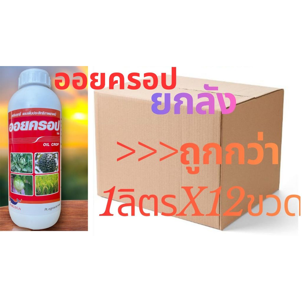💥คุมไข่หนอน🌿ไวต์ออยน้ำใส⚡️ออยครอป  (Natural oil 95%) ยับยั้งการลอกคราบของแมลง กำจัดพลี้ยหอยเพลี้ยแป้ง (1 ลิตรx12)💯