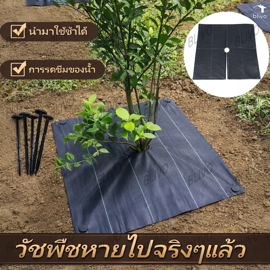 [แบบเพิ่มหนา] ผ้าป้องกันวัชพืชเจาะรู ผ้าป้องกันวัชพืช พลาสติกคลุมดิน วัชพืช ผ้าคลุมดิน กําจัดวัชพืช