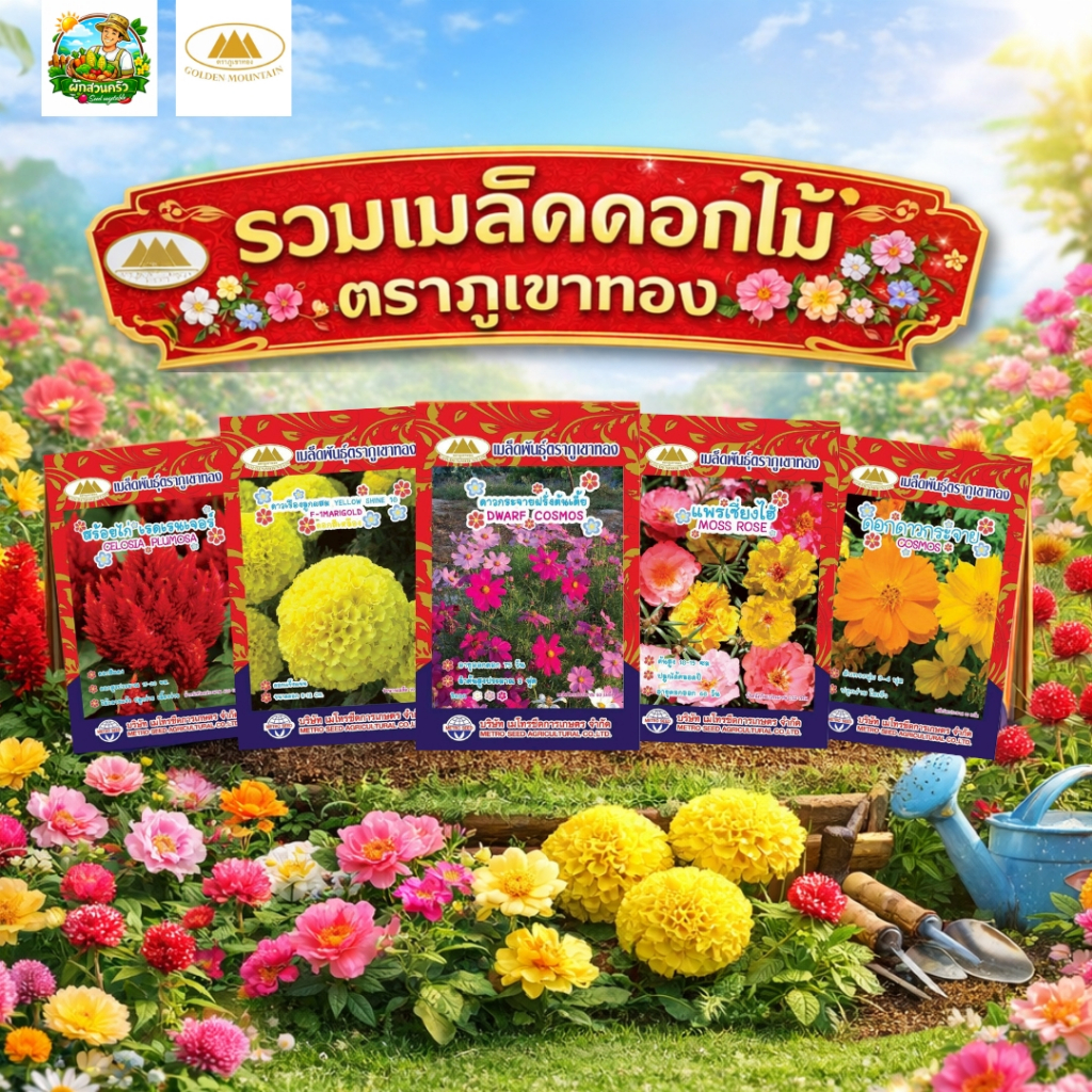 เมล็ดพันธุ์ดอกไม้ ตราภูเขาทอง (มากกว่า 40 ชนิด)สายพันธุ์แท้ รับประกันความงอก ดาวเรือง ผีเสื้อ คอสมอส