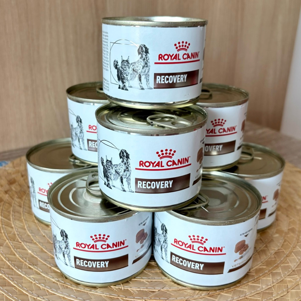 Royal Canin Recovery อาหารสำหรับสุนัขและแมว ป่วยพักฟื้น อาหารสัตว์ป่วย 195g x 12 กระป๋อง
