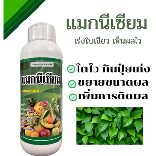 เเมกนีเซียม🍃เสริมอะมิโน เร่งใบเขียว🌸 เห็นผลไว ขนาด 1 ลิตร/ขนาด 5ลิตร