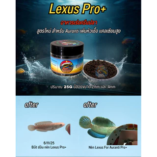 LEXUS อาหารเร่ง ครีบ/ฟอร์ม อันดับ 1