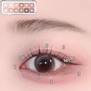 DIKALU พาเลตตา 12สี โทนสีชมพู สีส้ม เนื้อเรียบเนียน ประกายชิมเมอร์ ติดทน กันน้ำ สีธรรมชาติ เหมาะสำหรับผู้เริ่มต้น