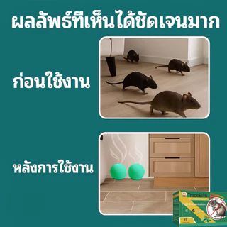 🐭ลูกเหม็นไล่หนู 12 เม็ด ยาไล่หนู กันหนู กันหนูในรถ ป้องกันหนูกัดสายไฟ ใช้ในรถ ห้องเครื่อง กลิ่นแรง ใช้งานง่าย