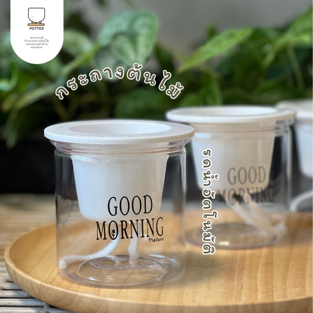 potter กระถางรดน้ำอัตโนมัติ ลาย Goodmorning สำหรับปลูกต้นไม้ในบ้านและนอกบ้าน ไม่ต้องค่อยรดน้ำบ่อย