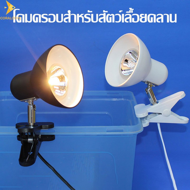 coralcoveshop โคมไฟเต่า กิ้งก่า หลอด UVA กลางวัน/กลางคืน มีสวิตช์ปรับแสงได้ ขั้วE27