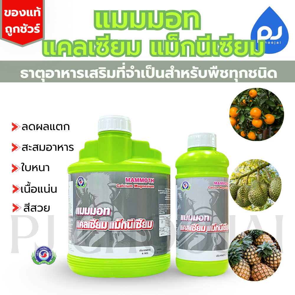 อาหารเสริมแมมมอท แคลเซียม แม็กนีเซียม