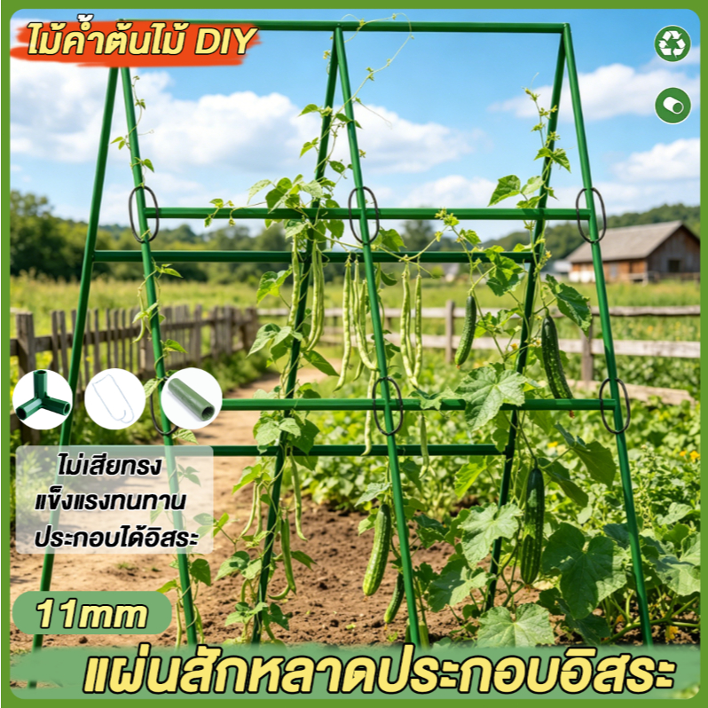 10 ปีไม่ชำรุด ไม้ค้ำต้นDIY โครงปลูกผัก ซุ้มเลื้อย ยาว90-180ซม.หนา11มม.ยันต้น ค้างต้น ผัก ซุ้ม
