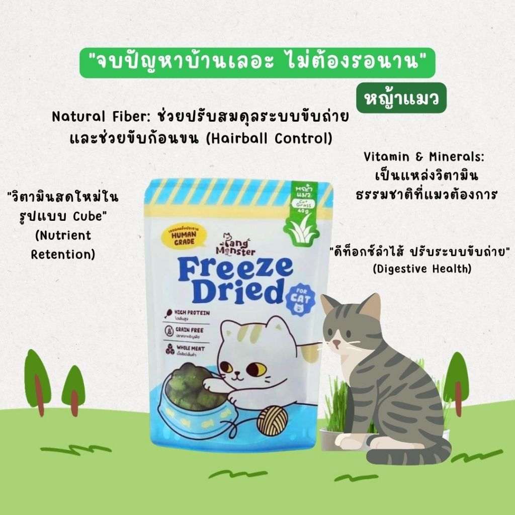 Pang Monster หญ้าแมวฟรีซดราย (Cat Grass)