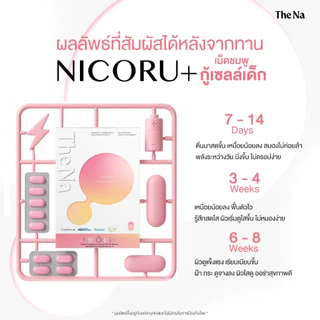 The Na Nicoru 3 กล่อง นิโครุ NAD+ NMN ต้านอนุมูลอิสระ ชะลอวัย ผิวชุ่มชื้น บำรุงสมอง หลับลึก สดชื่น