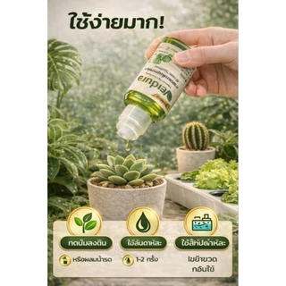 Verdura 30ml. สารอาหารพืชสูตรเข้มข้น ปุ๋ยน้ำต้นไม้ สำหรับไม้ใบ เหมาะกับพืชทุกชนิด ช่วยพืชใบเขียวสวย