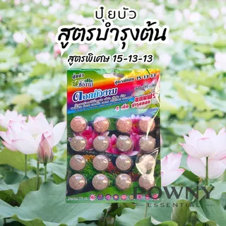 ปุ๋ยบัว ปุ๋ยบอน ปุ๋ยไม้น้ำ เร่งดอก เร่งโต เร่งใบ สีสวย น้ำไม่ขุ่น ปลาไม่ตาย ช่องาม Golden flower