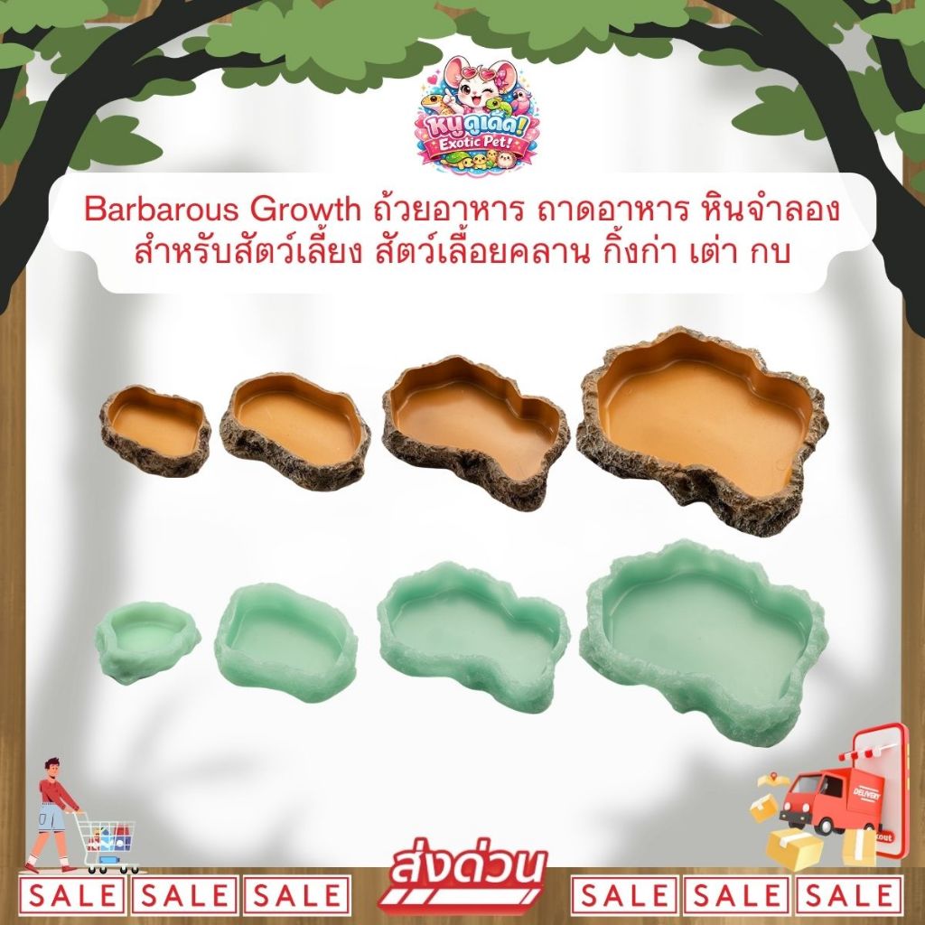 *ส่งไว* Barbarous Growth ถ้วยอาหาร ถาดอาหารหินจำลอง สำหรับสัตว์เลี้ยง สัตว์เลื้อยคลานกิ้งก่า เต่า กบ