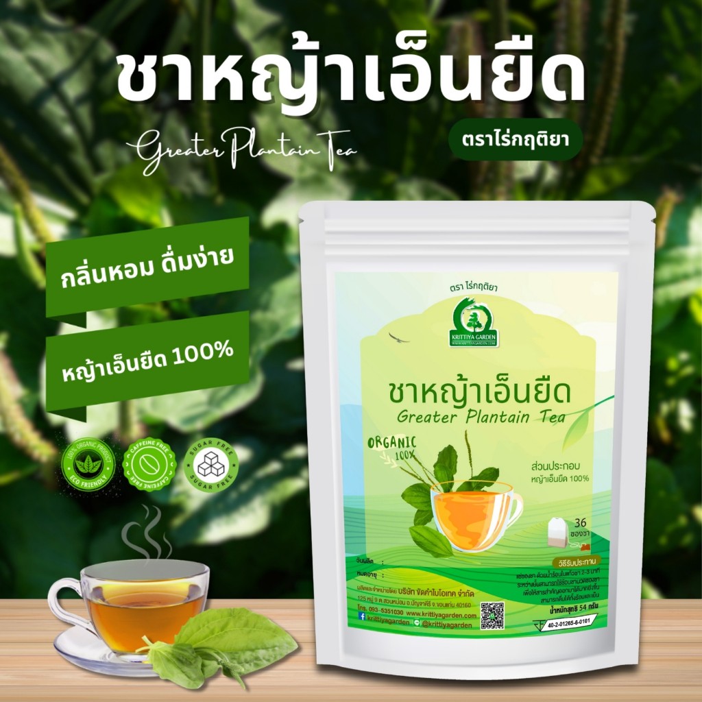 ชาหญ้าเอ็นยืด ตราไร่กฤติยา (ผักกาดน้ำ, หมอน้อย, Greater Plantain Tea)  ชาสมุนไพร กลิ่นหอม ดื่มง่าย