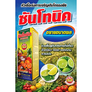 ซันโทนิค สารเสริมการเติบโต แบบเข้มข้น (อะมิโน+อัลจินิค) ยืดช่อ ดึงดอก ขั้วเหนียว ลดการหลุดล่วง ติดผลดก
