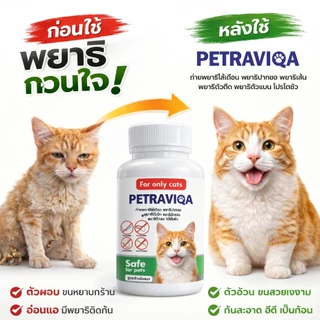 Virapet เสริมภูมิ ขับปรสิต ถ่ายพยาธิแมว ครอบคลุม 6 ชนิด ผอม เบื่ออาหาร ขนร่วง