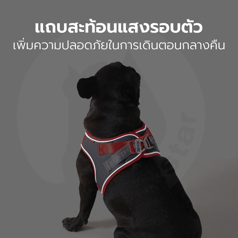 Tianyuan Pet สายจูงรัดอกสุนัข สายจูงแมว Pet Leash สวมใส่ง่าย ไม่รัดคอ ลดแรงกระชาก — صورة 6
