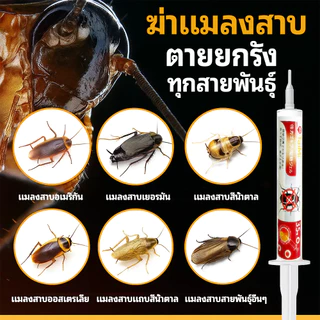 🔥เจลกำจัดแมลงสาบ 35g🔥 เจลฆ่าแมลงสาบ เหยื่อล่อแมลงสาบ สูตรเข้มข้น ล่อกินง่าย กำจัดได้ยกรัง ใช้งานง่าย