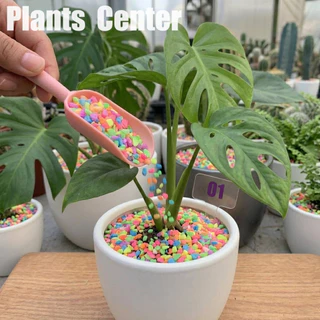 Plants Center น้ำหนัก 500กรัม 1 ถุง หินสะท้อนแสง หินสี หินโรยหน้ากระถาง กระบองเพชร หินตกแต่งกระถาง