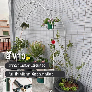 ซุ้มไม้เลื้อย ซุ้มกุหลาบ 240*140*38cm โครงเหล็กแข็งแรง ติดตั้งง่าย ซุ้มถอดออกได้ ของแต่งสวน ซุ้มงานแต่ง ชั้นวางดอกไม