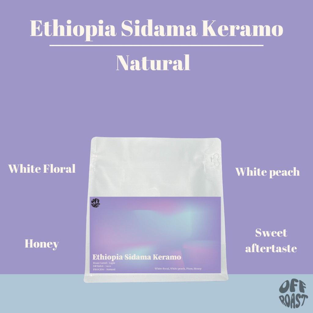Offroast เมล็ดกาเเฟคั่วอ่อนเอธิโอเปีย Ethiopia Sidama Keramo G1