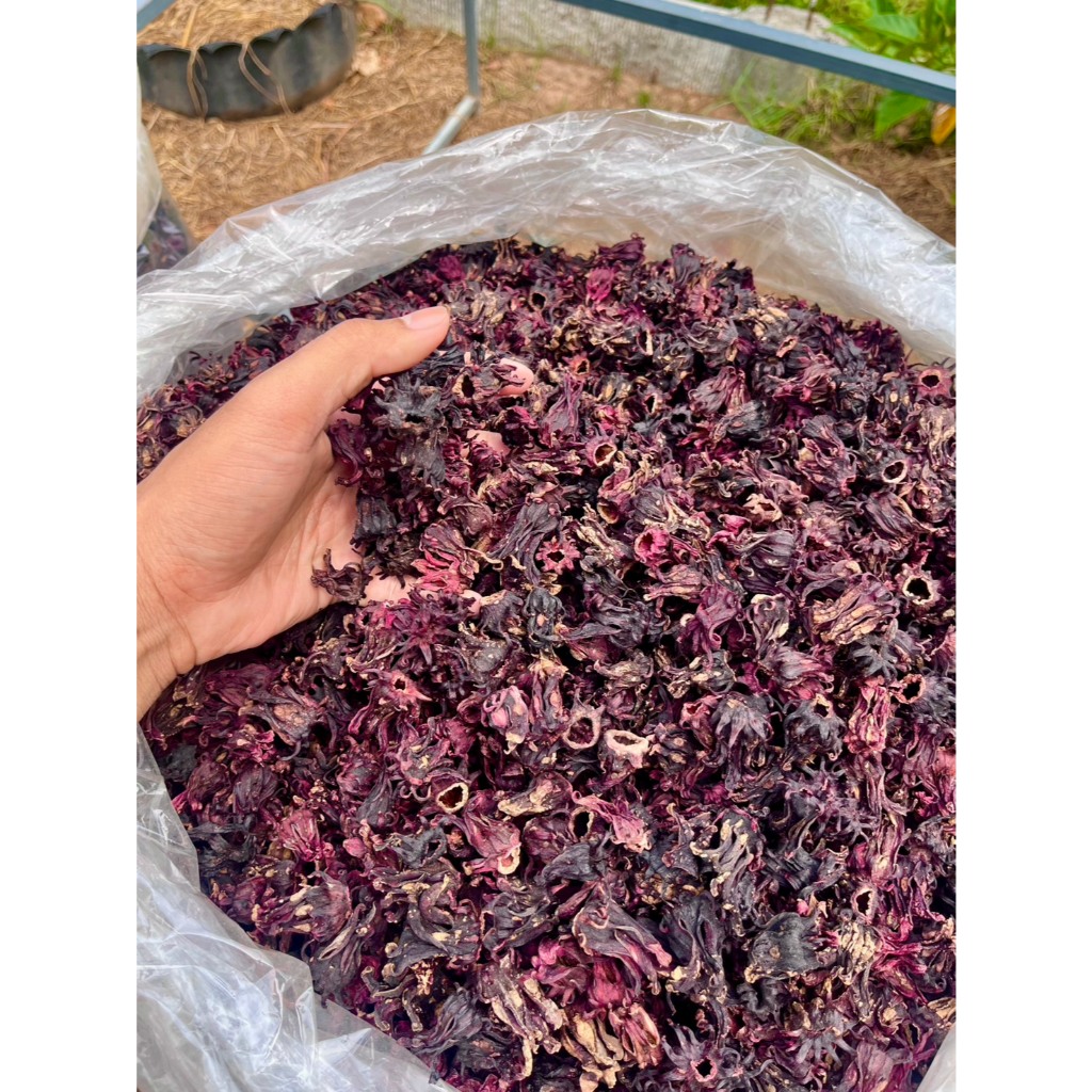 Napuya Farm กระเจี๊ยบแดงซูดาน เกรดต้มน้ำ ออร์แกนิก ปลอดสาร 100% ขนาด 1,000 กรัม