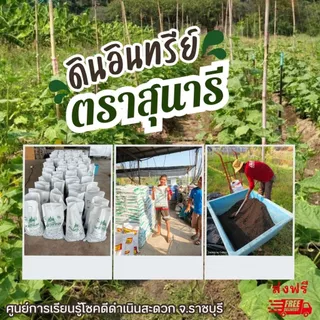 ดินอินทรีย์ชีวภาพ ตราสุนารี ปุ๋ยอินทรีย์ปรับปรุงดิน ปลูกผัก ผลไม้ ไม้ดอก 1 กก. ซื้อ 1 แถม 1