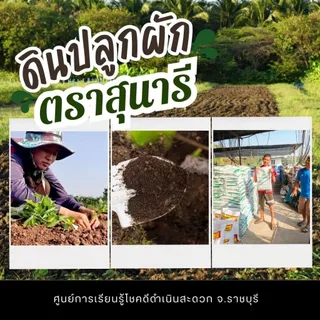 ดินสำหรับปลูกผัก ตราสุนารี ขนาดถุงละ 1 กก. (1 แถม 1 รวม 2 กก.)