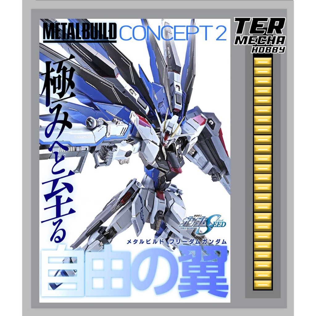 METAL BUILD FREEDOM GUNDAM CONCEPT 2
