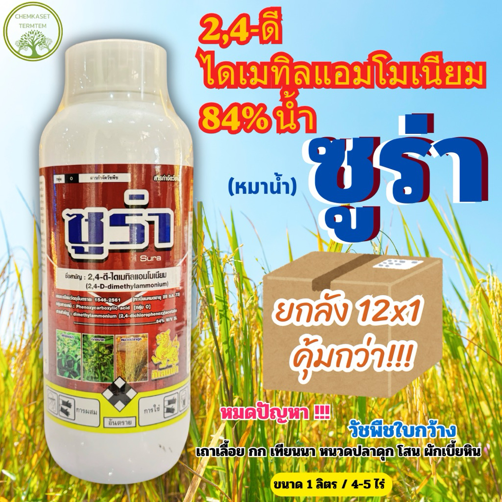 ซูร่า(ยกลัง*12)ทูโฟร์ดีน้ำ(หมาแดงน้ำ) ขนาด 1 ลิตร สารกำจัดวัชพืชประเภทเลือกทำลาย ดูดซึม กึ่งเผา