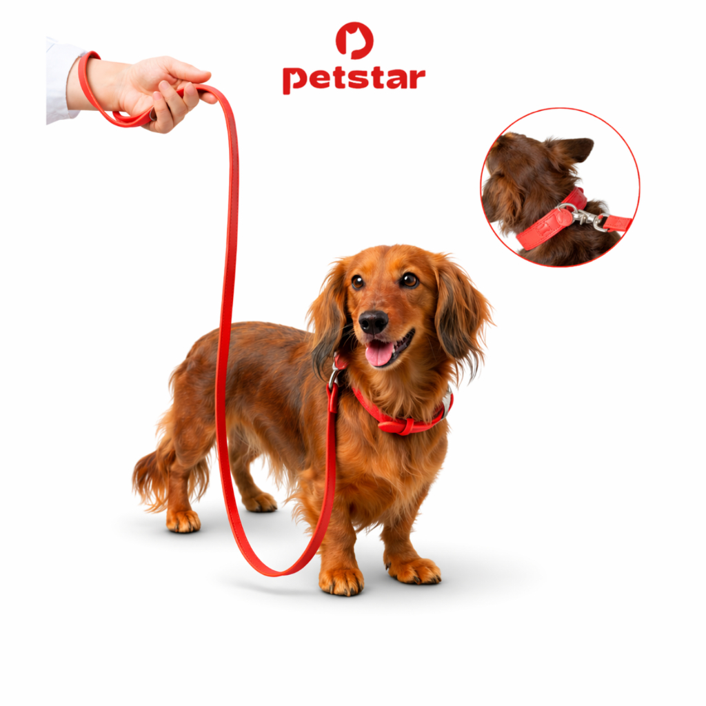 Petstar สายจูงสัตว์เลี้ยง สายจูงสุนัข Dog Leash หมุน 360° ไม่พันกัน ด้ามจับถนัดมือ แข็งแรง ควบคุมง่าย
