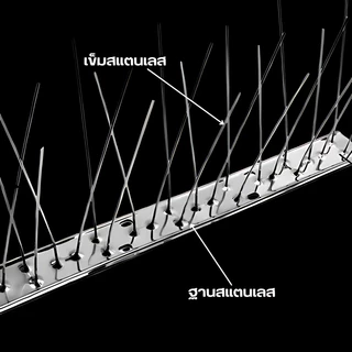 🐦หนามกันนก​ หนามไล่นก สแตนเลส304 ยาว50ซม. (10ชิ้น) กันนกพิราบ แมว กันนกเกาะ หนามไล่นก