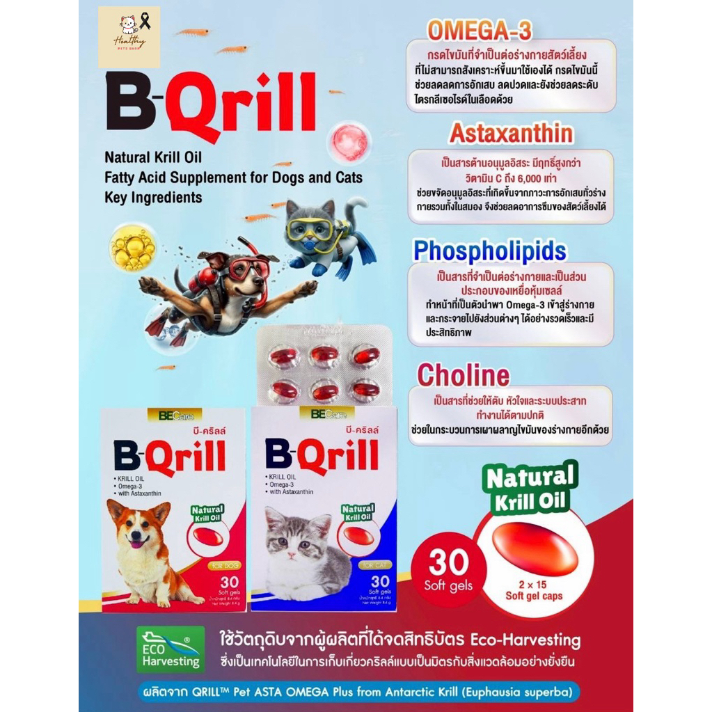 [30 เม็ด] B-Qrill วิตามินบำรุงข้อสำหรับสุนัขและแมว
