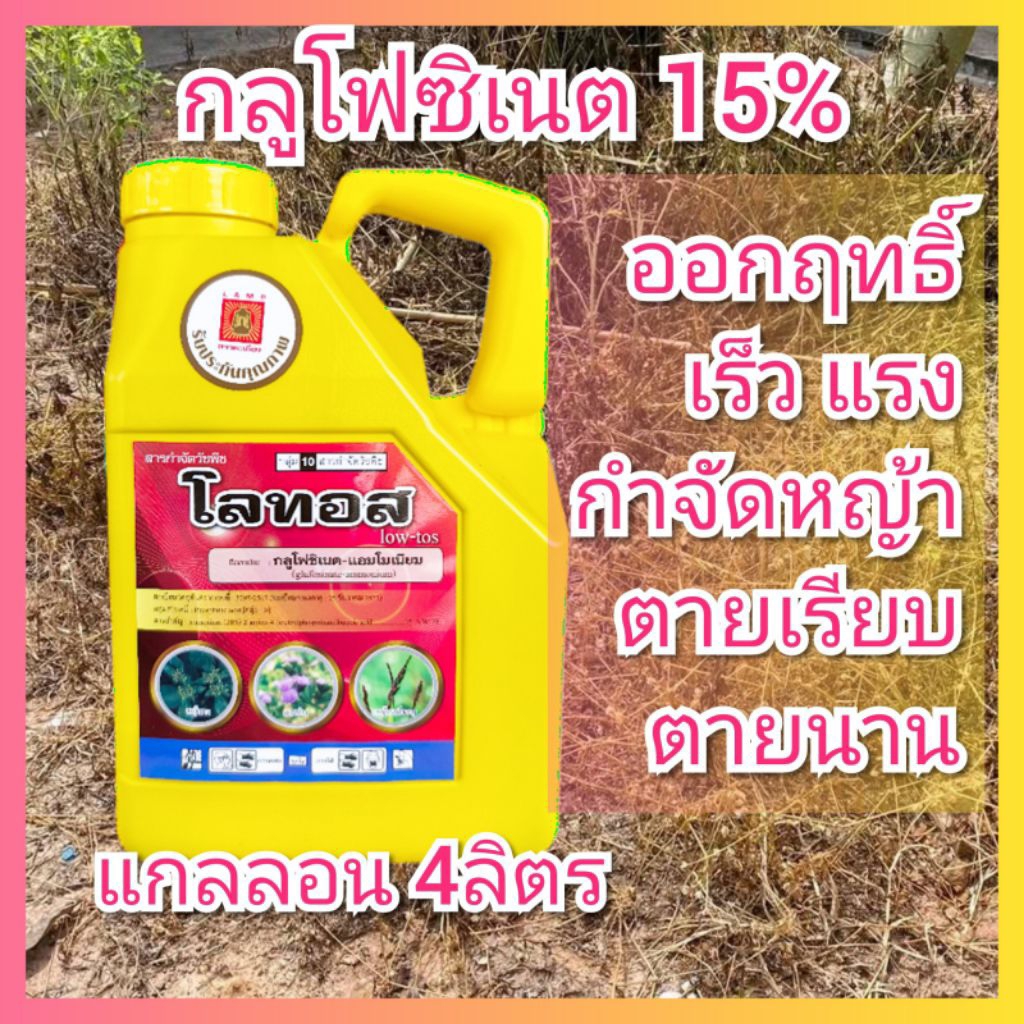 โลทอส กลูโฟซิเนต แอมโมเนียม 4 ลิตร ยาฆ่าหญ้า เผาไหม้ ดูดซึม แกลลอนเหลือง