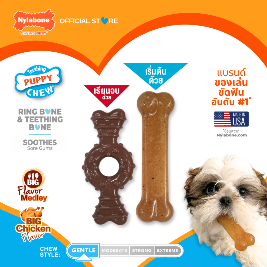 Nylabone Puppy Chew Puppy Chew Teething Bone & Ring Bone Chew Toy ของเล่นขัดฟันลูกสุนัข