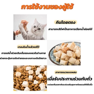 🐱อาหารแมว อกไก่เต๋า ขนมฟรีซดราย อกไก่ฟรีซดราย ขนมแมว ฟรีซดรายแมว ไก่ฟรีซดราย ขนมฟรีซดรายแมว ไก่ฟรีซดรายแมว 100%ฟู้ดเกรด
