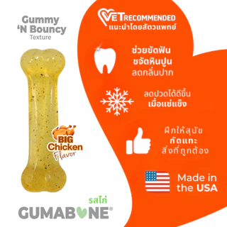 🇺🇸Made in USA🇺🇸 Nylabone Flexi Chew Toy Gumabone Original Bone ของเล่นขัดฟันสุนัข เนื้อนุ่ม ไร้สารพิษ