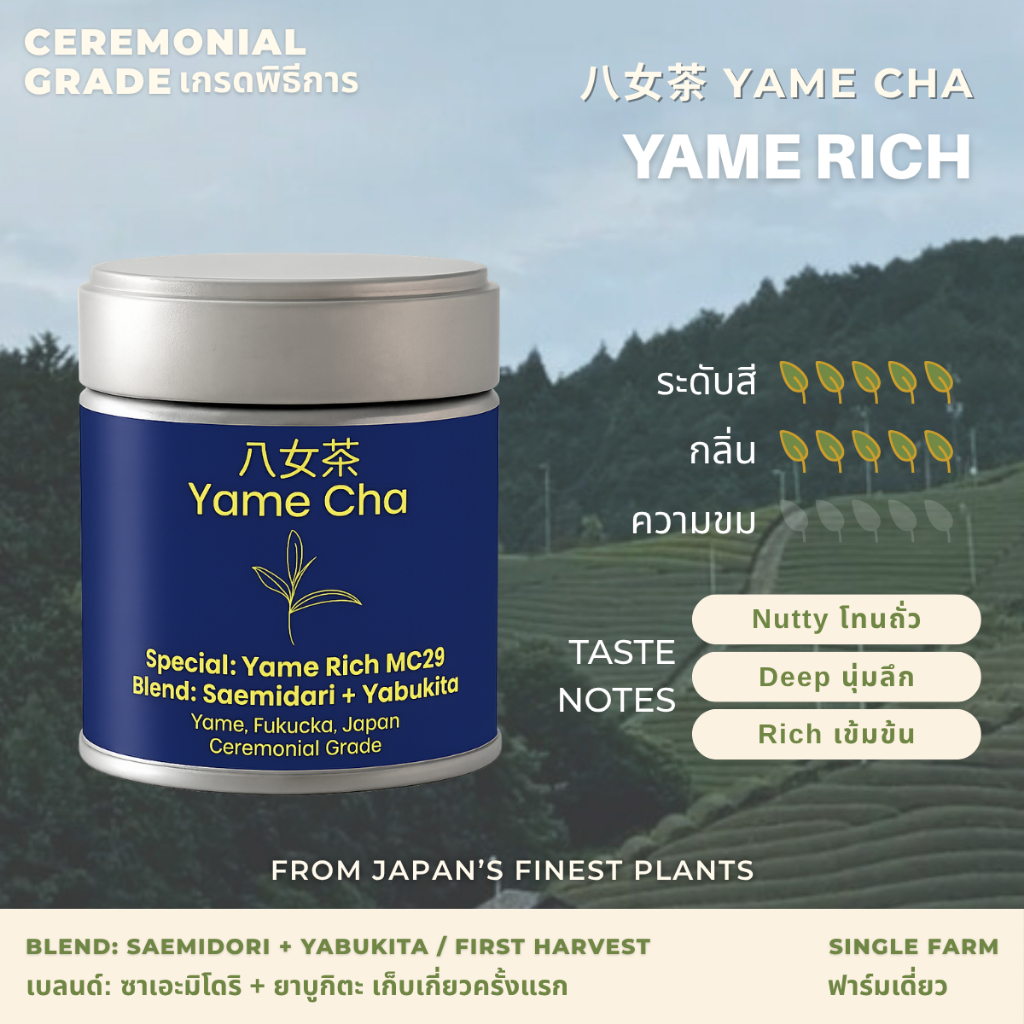 MC29 Matcha Yame Rich [Ceremonial Grade] ผงมัทฉะญี่ปุ่น เกรดพิธีการ 30 / 100g