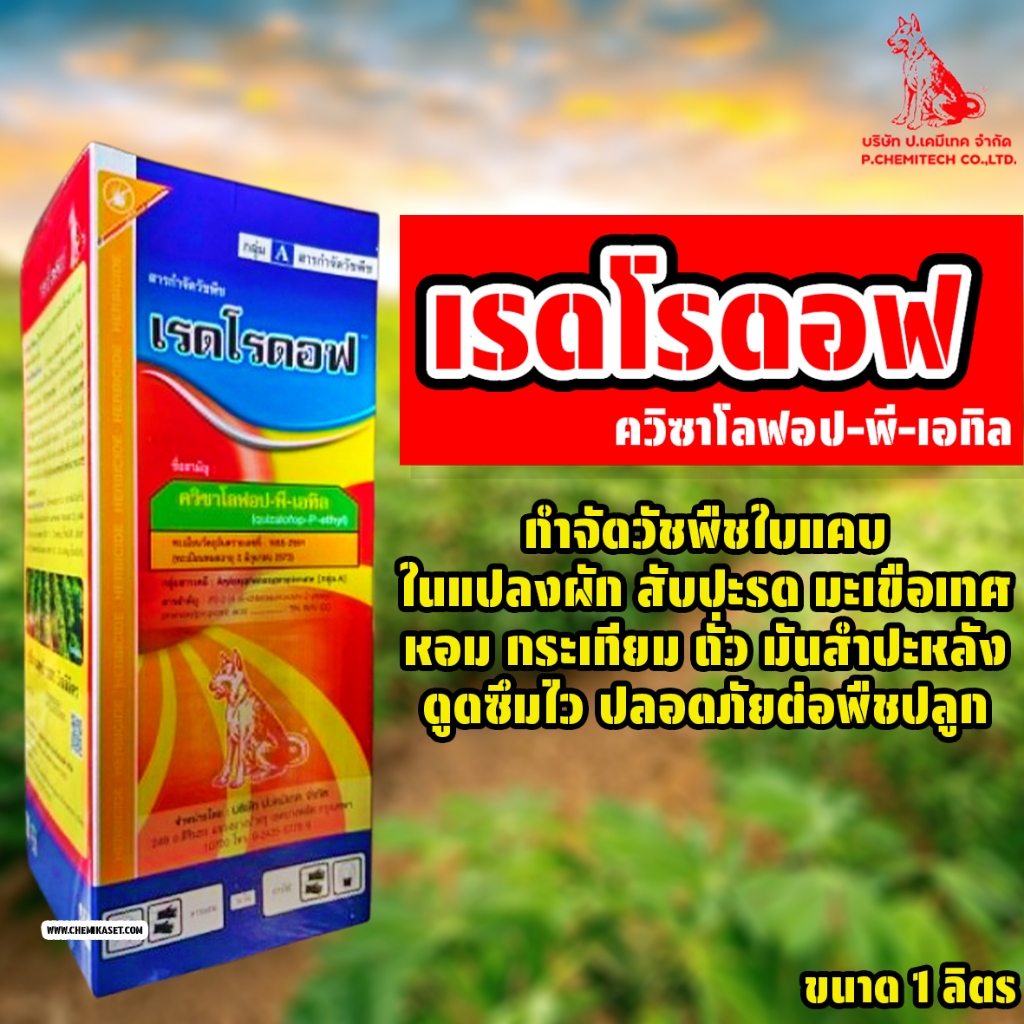 เรดโรดอฟ ขนาด 1 ลิตร (ควิซาโลฟอป-พี-เทฟูริล4%EC) ฆ่าหญ้าวัชพืชใบแคบในแปลงผัก ถั่ว มันสำปะหลัง