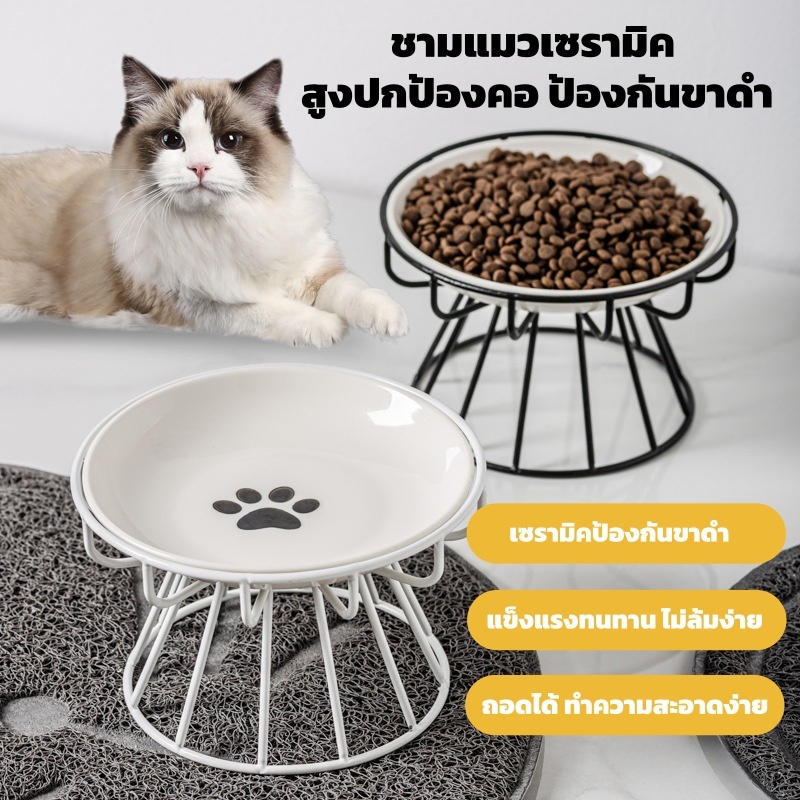 ชามแมว, ชามแมวยกสูง, จานแมวเซรามิกยกสูงพร้อมขาตั้งโลหะ,  Cats & Doggie Cat Stand Bowl 16 x 16 x 10ซม