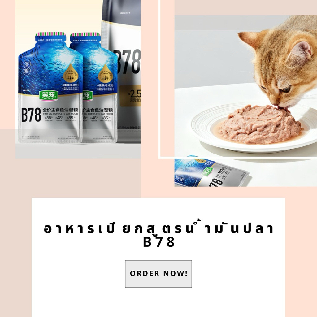 อาหารเปียกสูตรน้ำมันปลา B78