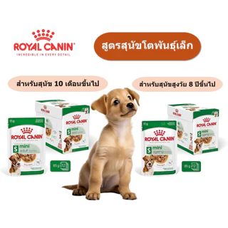 (ขายปลีกแบบซอง) อาหารเปียกสุนัข Royal Canin เลือกคละรสชาติได้ มีหลากหลายสูตร (85,140 กรัม/ซอง)