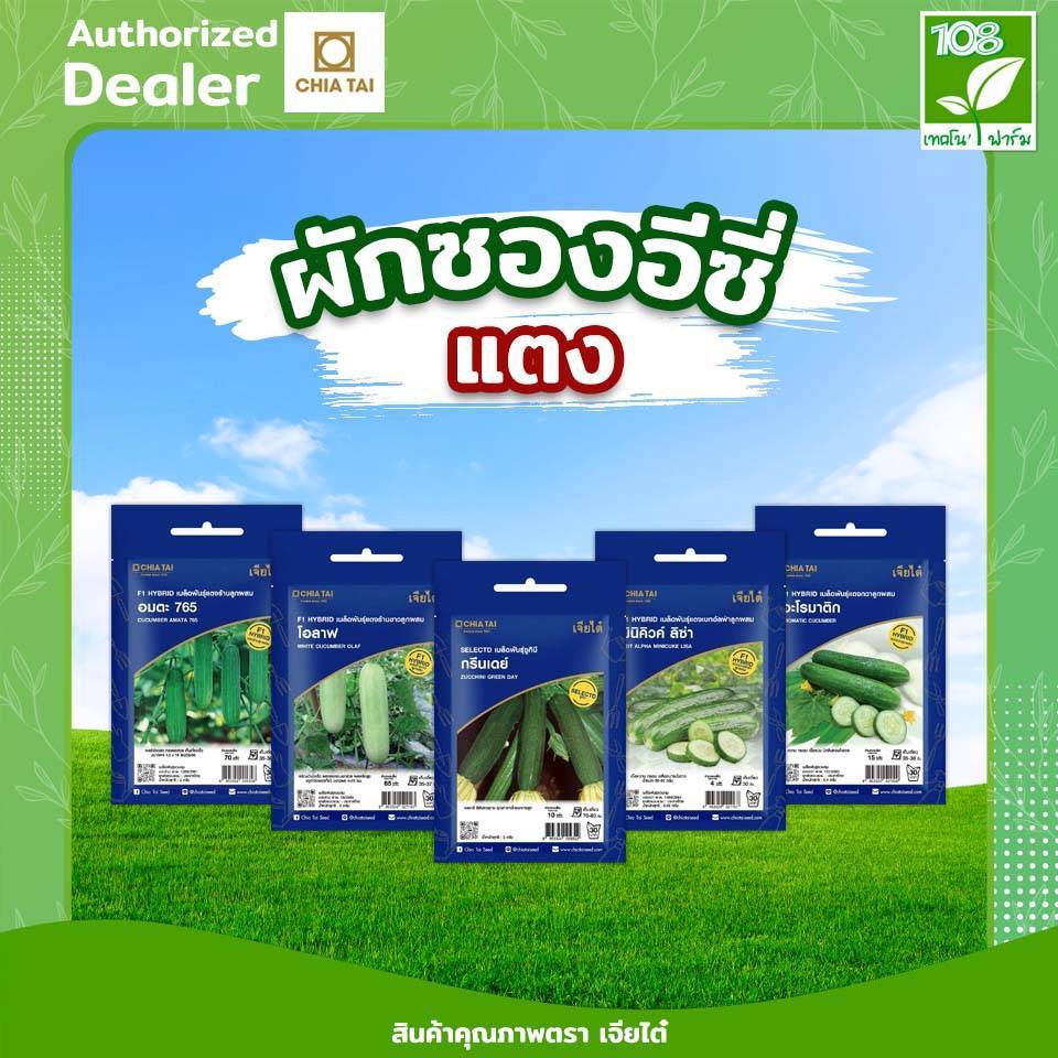 ขายส่ง ยกแพ็ค ผักซองอีซี่ รวมเมล็ดพันธุ์ แตงกวา/แตงร้าน/ซูกินี ตราเจียไต๋  ราคาถูกสุด (1แพ็ค=10 ซอง)